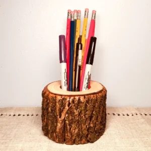 Hand-Carved Small Tree Trunk Pen Holder